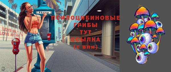 гидра Билибино
