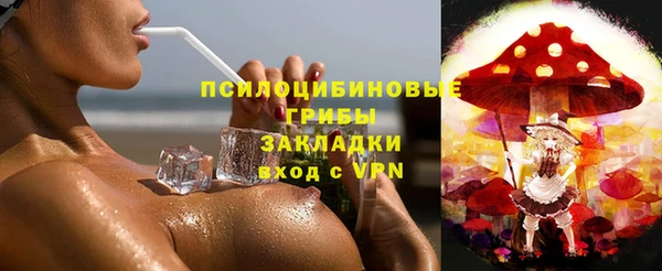 герыч Верхний Тагил