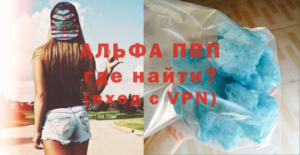 гидра Билибино
